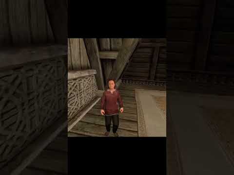深夜テンションで作ったファスト映画風スカイリム #キシタク店長 #vr #shorts ©音読さん