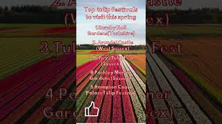 #shorts #top #tulip #festivals #uk #London #yorkshire #spring