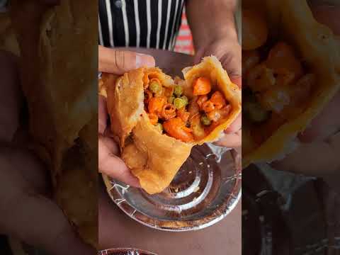 😱We tried 20 Varieties Of Samosa In Tilak Nagar , Delhi !! #shorts