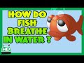 Understanding Breathing Mechanisms