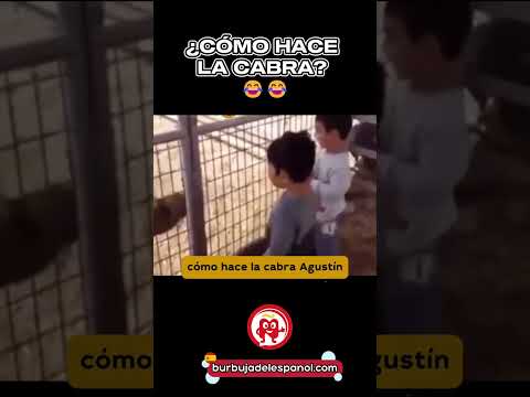 🐐 ¿Cómo hace la cabra? ESTE NIÑO NO DICE BEEE… ¡DA UN CABEZAZO! 💥😂