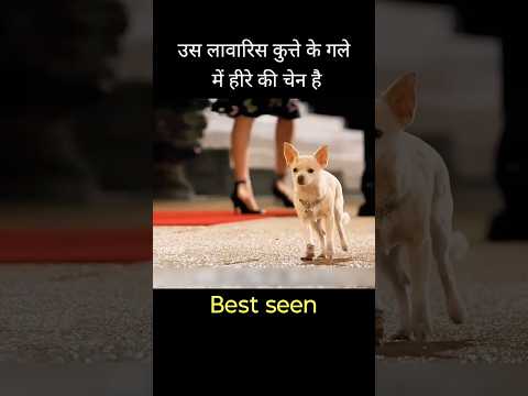 उसे लावारिस कुत्ते के गले में हीरे की चैन है #shorts #video