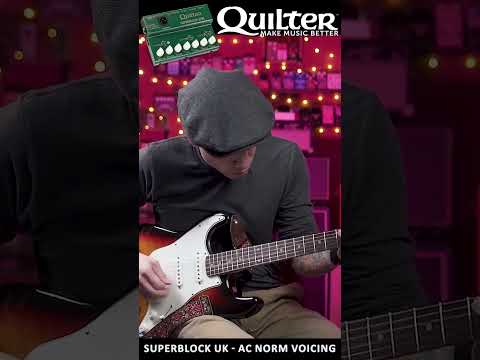 Quilter Labs |  SuperBlock UK - AC NORM #SHORTS #quilterlabs #amplifiers