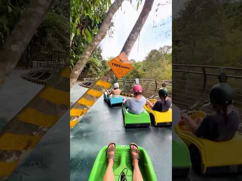 Super Mario Kart IRL🤣🤣#karting #dalat #travel #funny (No injuries were sustained in the video.)
