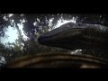 Trailer 14 do filme Jurassic World