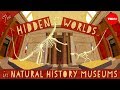 Natural History Museums: Windows into the Past