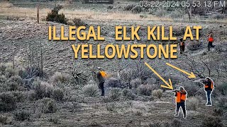Elk Shooting At Beattie Gulch - 3-22-2024