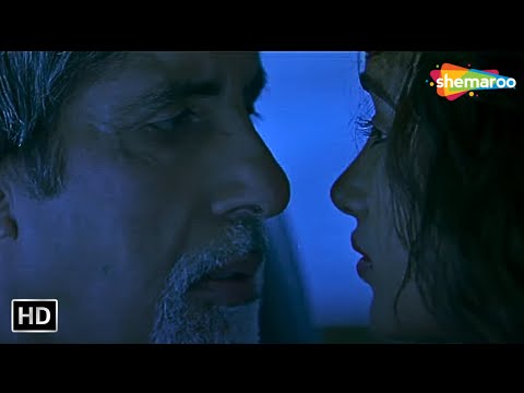 दुनिया में हर एक आप जैसा पागल नहीं है ना - Nishabd - Amitabh Bachchan, Jiah Khan - Hindi Movie Scene
