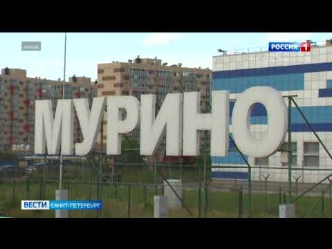 В Мурино началось строительство кругового перекрестка