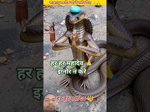 Har har Mahadev 🙏 जय महाकाल #mahakal #harharmahadev #andrast #nivetadhingramusic