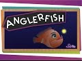 Unique Traits of Anglerfish