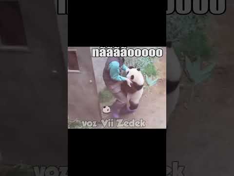Tadinho 🤣 #viizedek #memes #funny #animaisdublados #fortnite #panda #comediaanimal #pedro #comedy