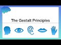 Gestalt Principles and Perception Concepts