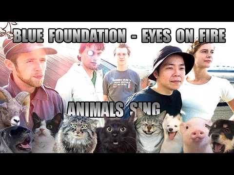 Blue Foundation - Eyes On Fire (Animal Cover)