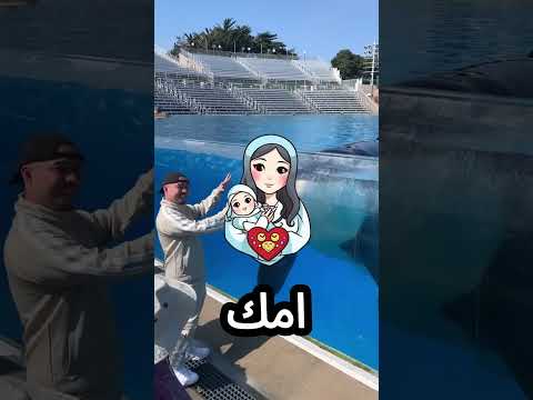 مغامر يتحدى الحوت القاتل لكن النهاية غير متوقعة! 😢