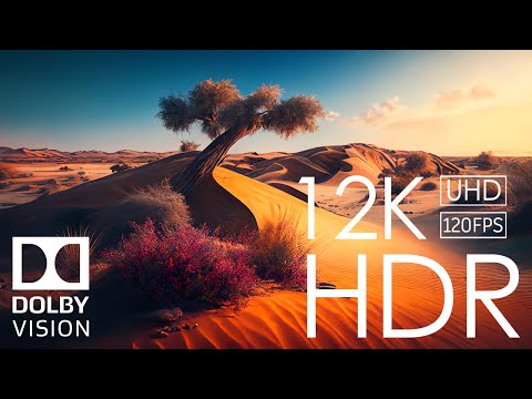 12K HDR 120fps Dolby Vision with Calming Music (Scenic World)