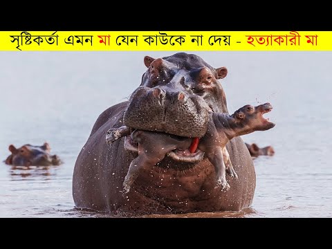পশুদের সবচেয়ে খারাপ বাবা মা । নিজের সন্তানের হত্যাকারী । Worst Animal Parents in the jungle