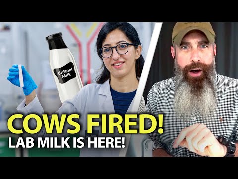 Lab Milk NOW In America!