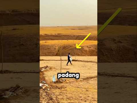 😱 Hanya dengan Botol Air, Ia Menumbuhkan Kehidupan di Padang Pasir! #shorts