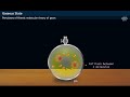 Kinetic Theory of Gases Concepts