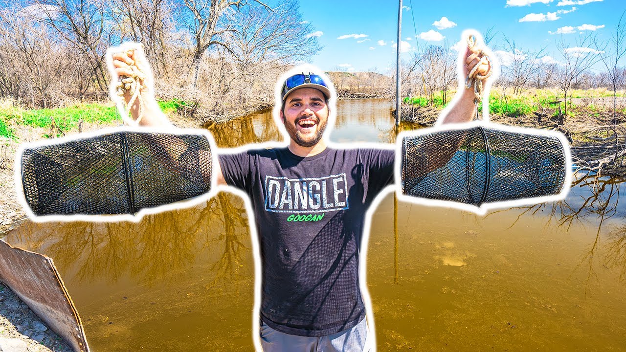 Trapping TINY CATFISH at My FARM in NASTY RIVER! (Feeding Pet Fish)