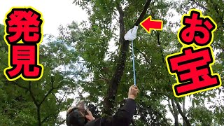 少年の憧れ！山奥の木の上でお宝発見！