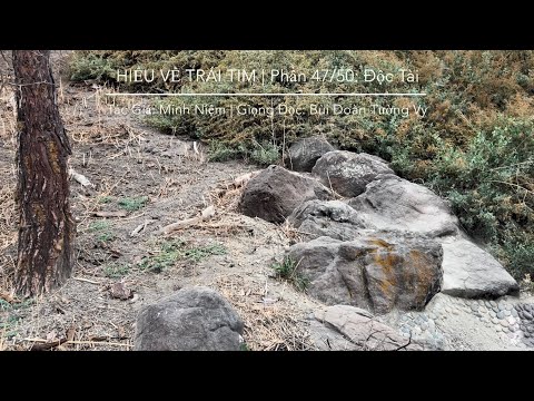 HIỂU VỀ TRÁI TIM | Tác Giả: Minh Niệm | Phần 47/50: Độc Tài