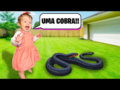 UMA COBRA INVADIU a NOSSA CASA! O QUE VAMOS FAZER? FAMÍLIA INTEIRA com MUITO MEDO! Pai Também Vloga