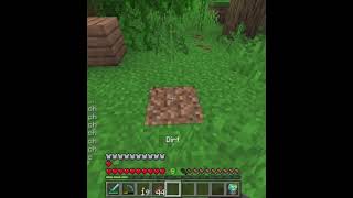 Naeast servers btw #megasmp #fyp #minecraft #blowup #subscribe