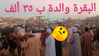 ارخص بقرة والدة في مصر ب ٣٥ ألف ولن تصدق أسعار البقر والجاموس اللحم بسوق اسنا ٤/ ٨/ ٢٠٢٥م