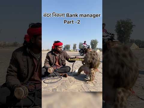 यह बंदर तो निकला bank manager part-2 #madari #bandar #monkey #kalumadari #bandarmama #bandarkakhel