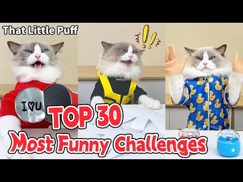 TOP 30 Most Funny Challenges! 🥳| That Little Puff