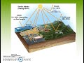 Atmospheric Science Concepts Assessment