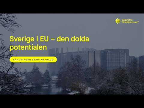Sverige i EU – den dolda potentialen
