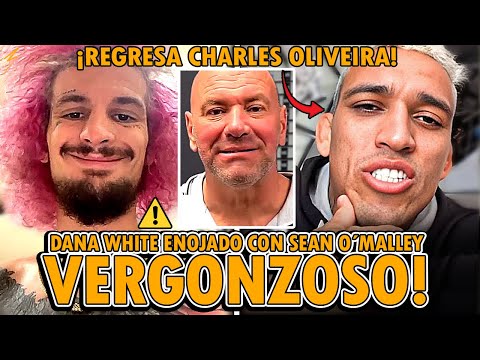 ⚠️¡SEAN O’MALLEY AVERGONZADO tras ser APLASTADO en UFC 306 y DANA WHITE LO CRITICA! UFC 309 PELEAS