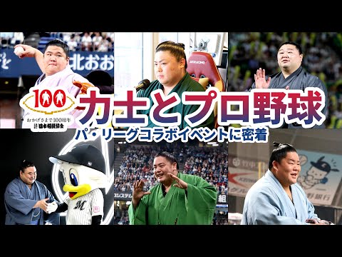 大相撲とプロ野球パ・リーグがコラボ! イベントに密着! SUMO