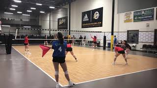 Milwaukee Sting - Alisa 17 Silver