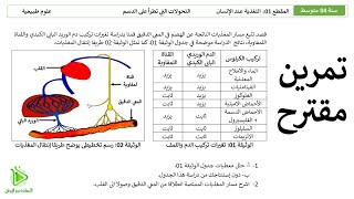 تمرين مقترح لشهادة التعليم المتوسط BEM - طريقا إنتقال المغذيات - الطريق الدموي واللمفاوي -  04 متوسط