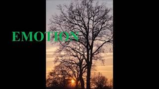 Benjamin Herzog - Emotion ende des Winters