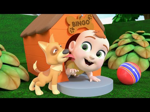 Bingo Song | Newborn Baby Songs & Nursery Rhymes