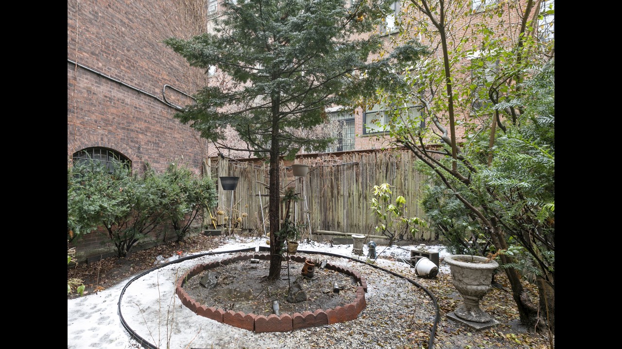 video image