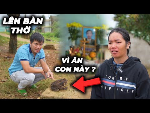 Phần 2 Biến Căng Hai Cha Con Phải Bỏ M.ạng Vì Dám Đụng Vào Con Này