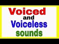 Voiced and Voiceless Sounds