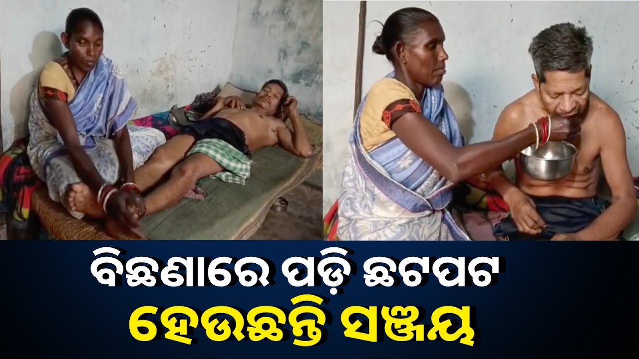ସଞ୍ଜୟଙ୍କୁ ପାରାଲିସିସ ହେବା ପରେ ଚାରି ପ୍ରାଣୀଙ୍କ ଜୀବନ ଏବେ ଦୁର୍ବିସହ ହୋଇପଡିଛି ||Knews Odisha
