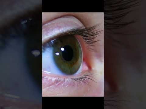 😱🧐 इंसान की आँखें जन्म से लेकर मृत्यु तक कभी नहीं बढ़ती!" #sciencefacts #facts #ytshorts l#shorts