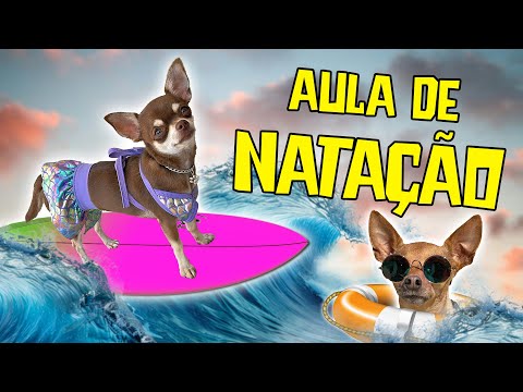 ESCOLINHA DOS PEQUENOS PRÍNCIPES - AULA DE NATAÇÃO