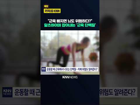 "<strong>근육</strong> 빠지면 뇌도 위험하다?" 알츠하이머 잡아내는 '<strong>근육</strong> 단백질' / KNN
