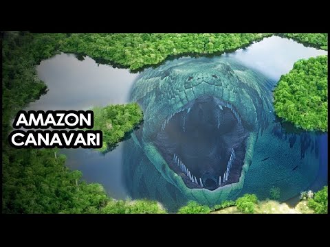 Amazon Nehri'nden Neden Bu Kadar Çok Canavar Çıkıyor?