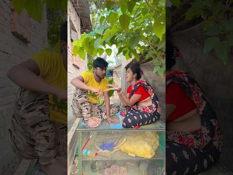 পাখি ওড়ে 😂🤣 #comedy