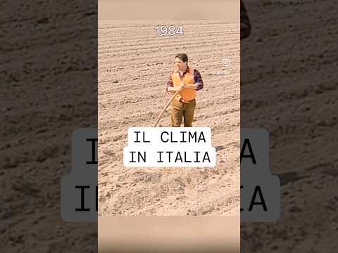@dimaverikIl cambiamentoclimatico già  nel1984#cinemaitaliano#frasideifilm#filmitaliani#risate